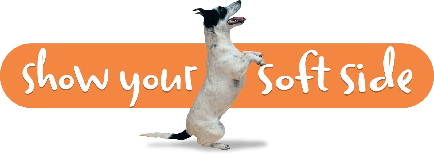 Show Your Soft Side logo